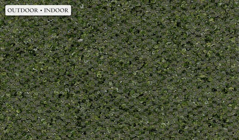 River Rock - Forest