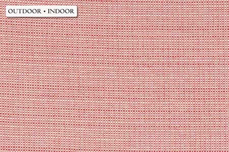 Las Salinas - Coral