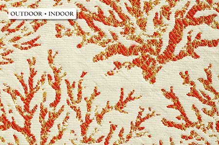 Caribbean Coral - Mango