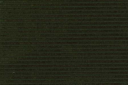 Empire Velvet - Lean Green