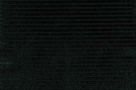 Empire Velvet - Spruce