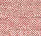 Andaman - Coral